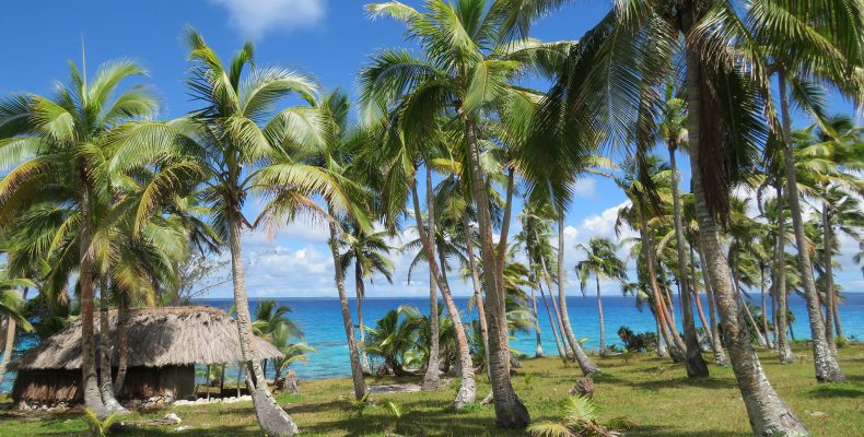 Case Lifou Nature